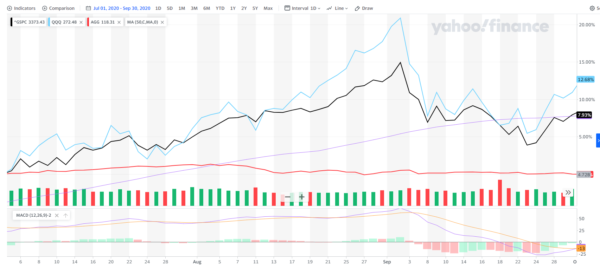 Market Pulse - Q3 2020 - The Westerman Group